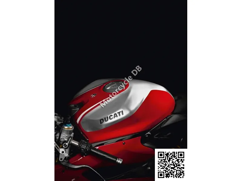 Ducati 1199 Panigale R 2014 31707