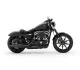 Harley-Davidson Iron 883 2021 45886 Thumb