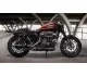 Harley-Davidson Roadster 2020 47124 Thumb