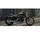 Harley-Davidson Sportster 883 Roadster 2014 23438 Thumb