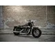 Harley-Davidson Sportster Forty-Eight Dark Custom 2013 22756 Thumb