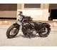 Harley-Davidson Sportster Forty-Eight 2014 23439 Thumb