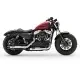 Harley-Davidson Sportster Forty-Eight 2020 47119 Thumb
