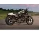 Harley-Davidson Sportster Roadster 2019 47993 Thumb