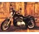 Harley-Davidson XL 1200 S Sportster Sport 2000 13539 Thumb