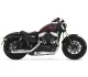 Harley-Davidson XL 1200X Forty-Eight 2011 36864 Thumb