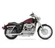 Harley-Davidson XL 883C Sportster 883 Custom 2010 7825 Thumb