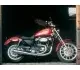Harley-Davidson XL 883R Sportster 883R 2009 9371 Thumb