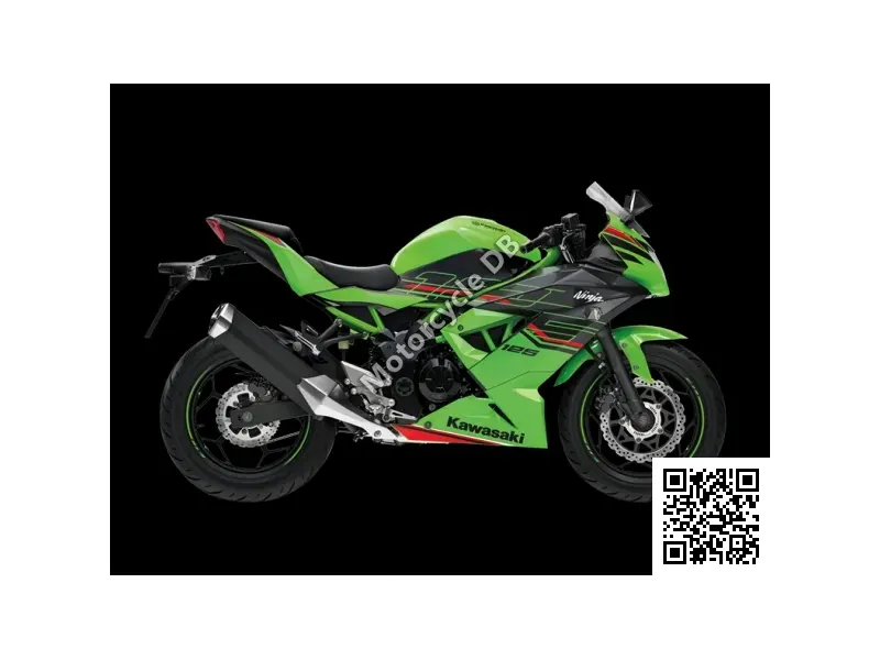 Kawasaki Ninja 125 Performance 2023 43231