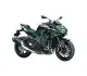 Kawasaki Z H2 SE Performance 2021 45675 Thumb