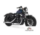 Harley-Davidson 115th Anniversary Forty-Eight 2018 49397 Thumb