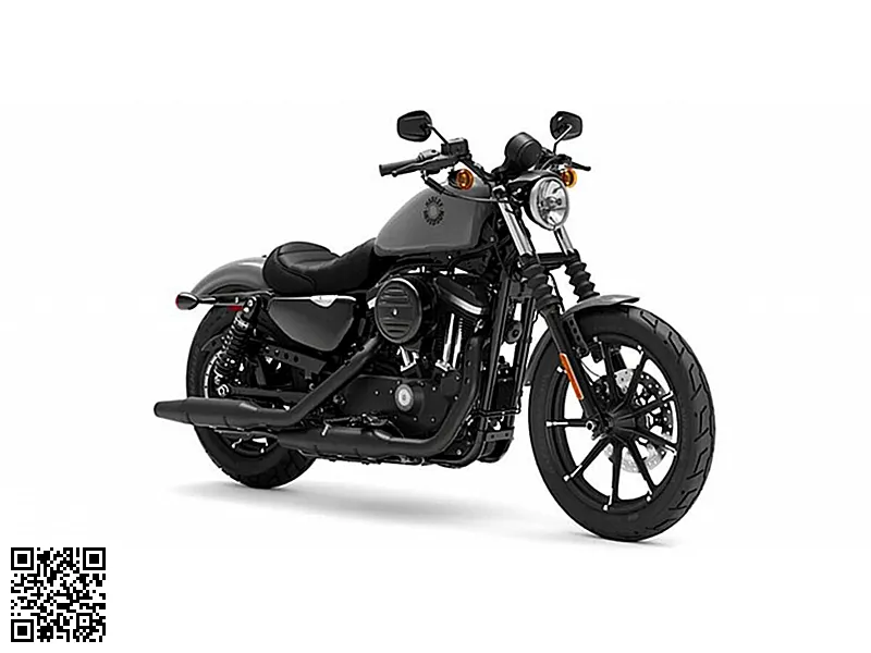 Harley-Davidson Iron 883 2022 54646