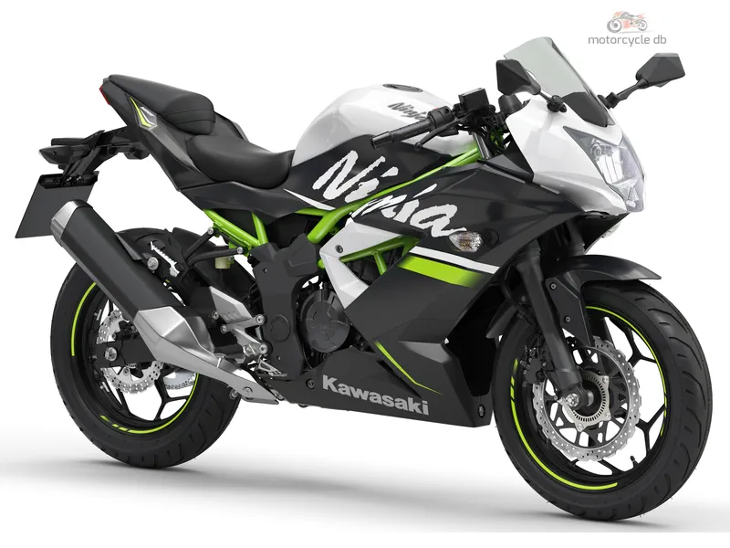 Kawasaki Ninja 125 Performance 2024 58176