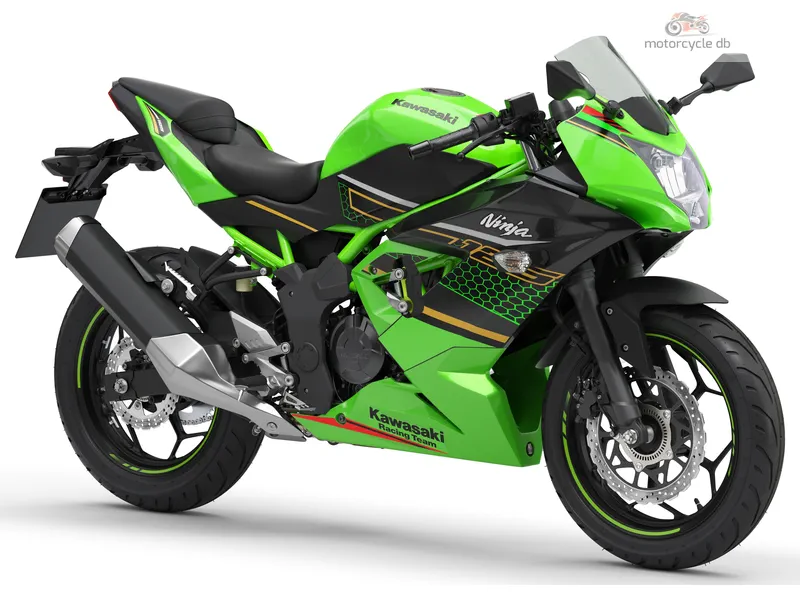 Kawasaki Ninja 125 Performance 2024 58179