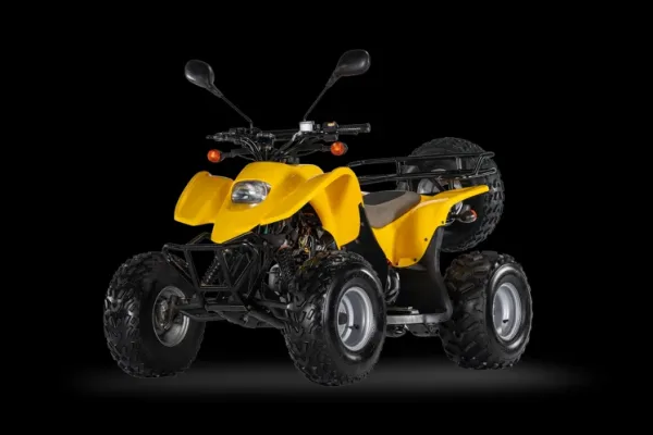 2026 Access Xtreme Mini 100
