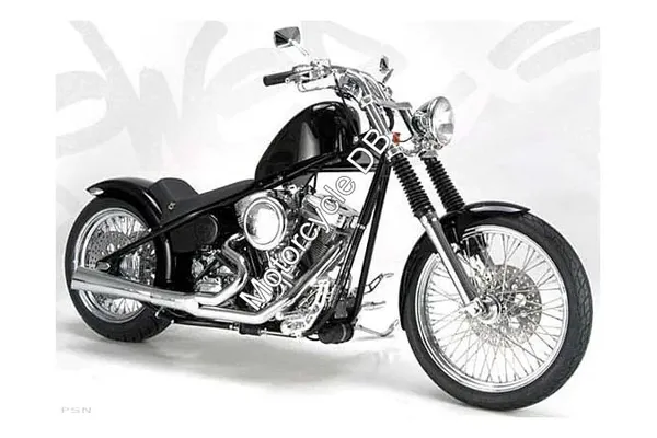 2010 BMC Choppers Hooligan 541