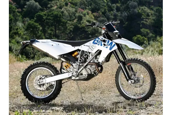 2009 BMW G 450 X