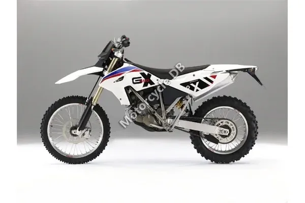 2010 BMW G 450 X