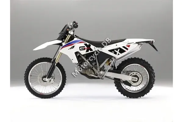2011 BMW G 450 X