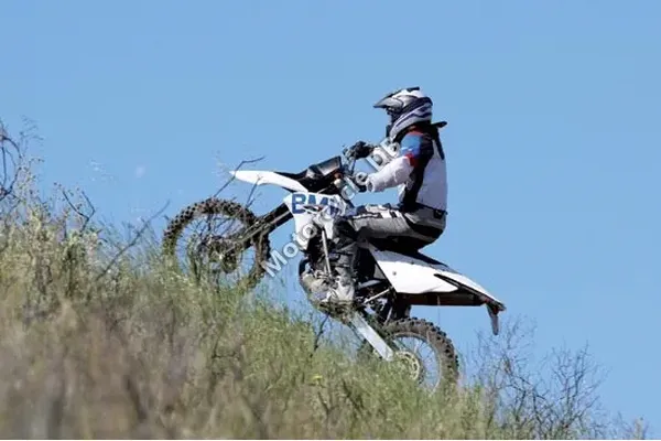 2008 BMW G 450 X