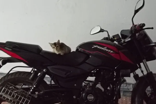 2026 Bajaj Pulsar 150