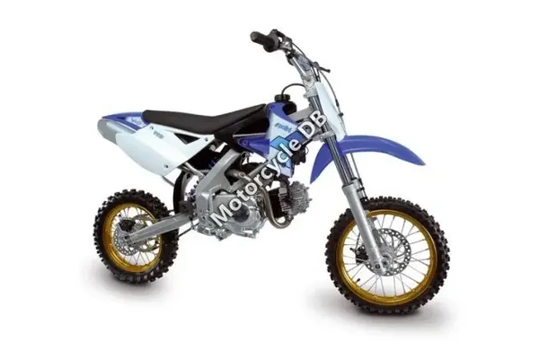 2009 BamX BX50-DB Pee Wee