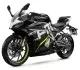 2022 CF Moto 300SR - photo 1