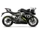 2022 CF Moto 300SR - photo 2