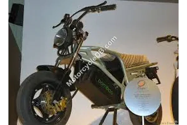 2022 Clipic Bamboo