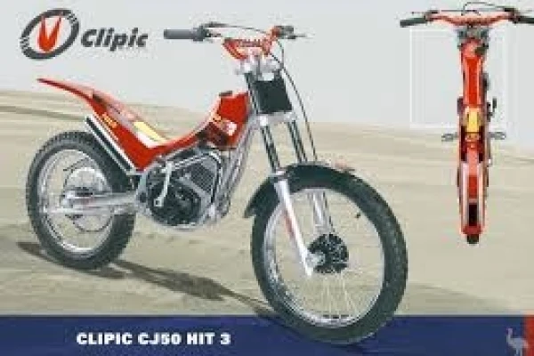 2021 Clipic Bamboo