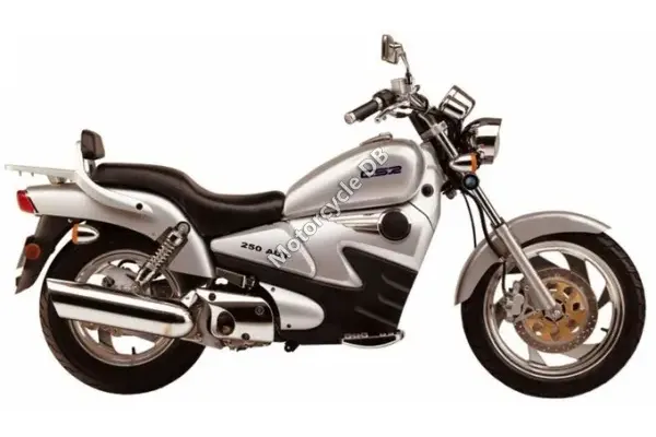 2008 Clipic Custom Guepard 250