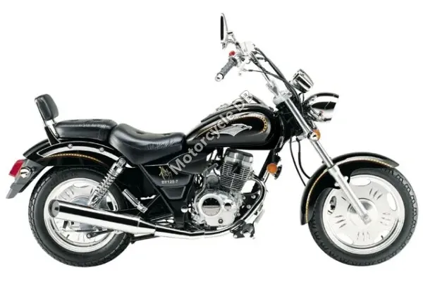 2008 Dayun DY125-7