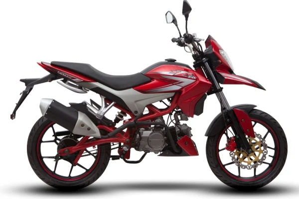 2020 Demak DZR 120
