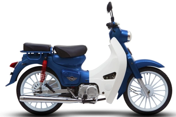 2020 Demak Eco 110
