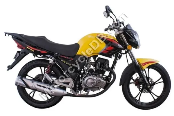 2020 Dinamo MAX-2 175