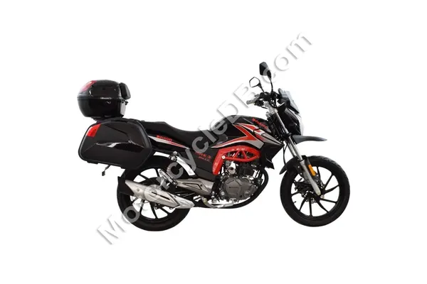 2020 Dinamo MAX-3 200