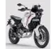 Ducati DesertX 2022 35825 Thumb