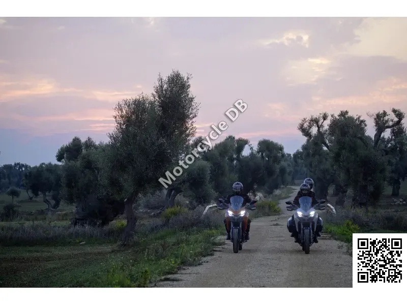 Ducati Multistrada 950 2019 36280