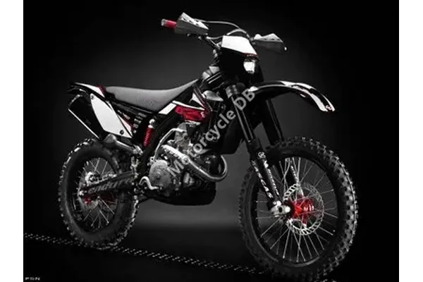 2010 GAS GAS EC 450 4T