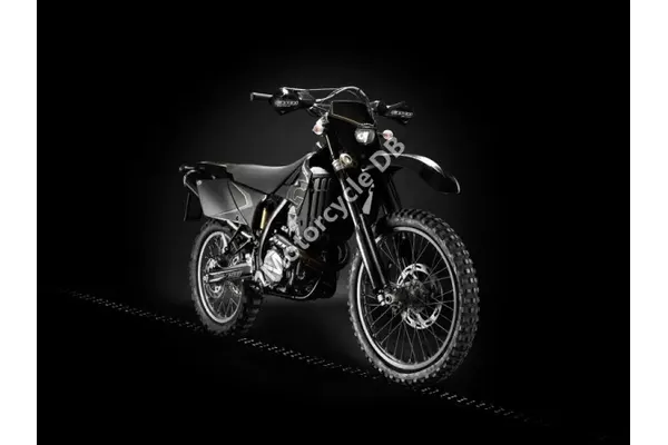2010 GAS GAS Halley 450 4T
