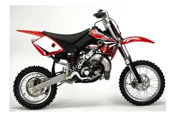 2011 GAS GAS MC 125