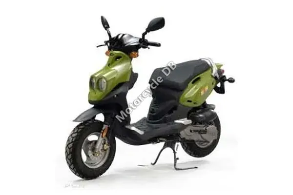 2010 Genuine Scooter Roughhouse R50