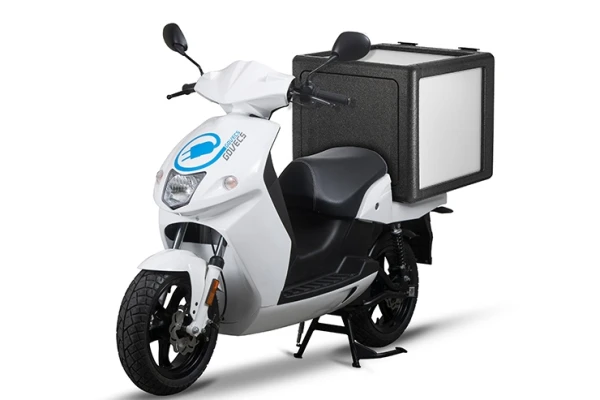 2020 Govecs Pro Cargo
