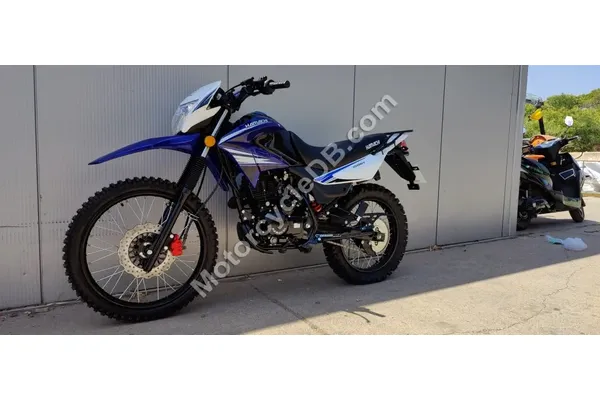 2020 Hamachi GY-5 Dessert 200