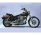 1988 Harley-Davidson FLST 1340 Heritage Softail - photo 2