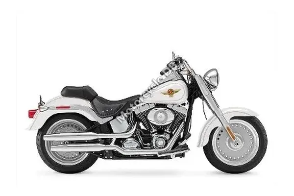 2009 Harley-Davidson FLSTF Fat Boy