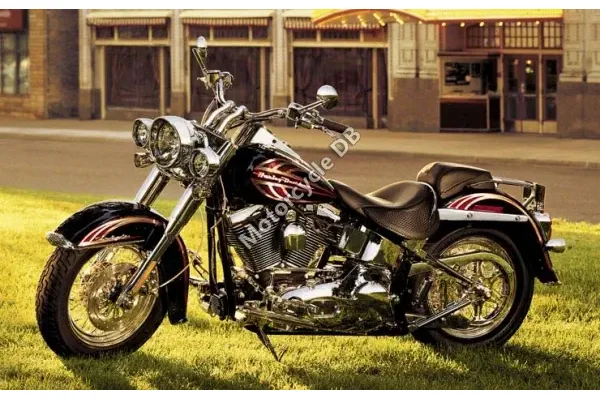 2006 Harley-Davidson FLSTNI Softail Deluxe