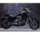 1989 Harley-Davidson FXRS 1340 SP Low Rider Special Edition - photo 2
