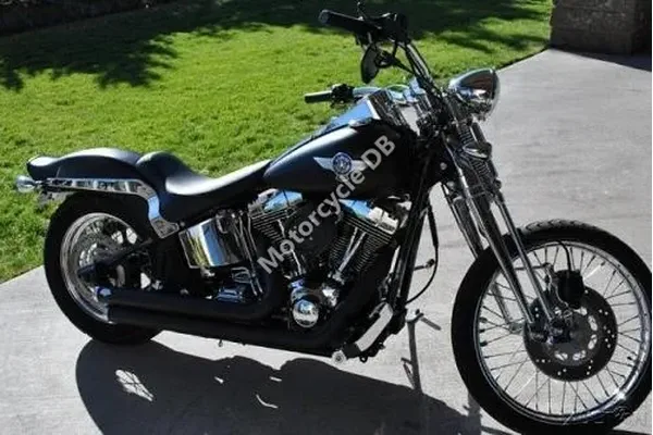 2001 Harley-Davidson FXSTS Springer Softail