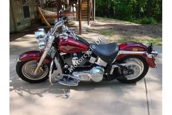 2001 Harley-Davidson Fat Boy Injection
